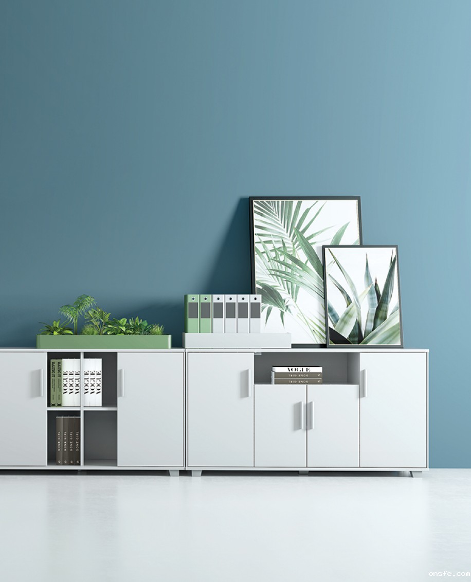 onsfe文件柜,墙柜,储物柜